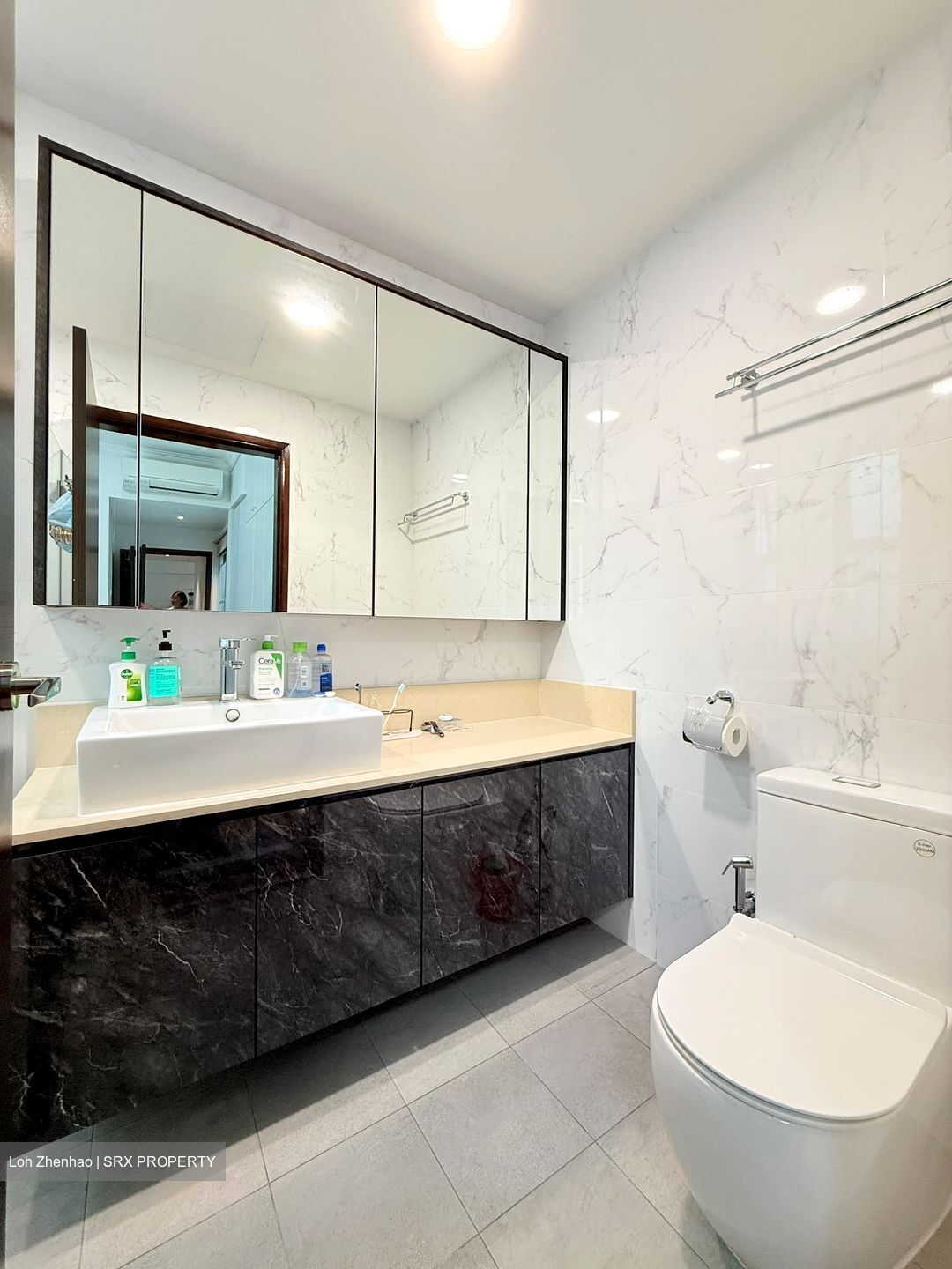 Bishan Loft (D20), Condominium #564118941